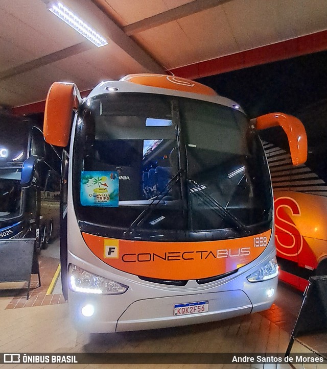 Conecta Bus Fretamentos 1983 na cidade de São Sebastião da Bela Vista, Minas Gerais, Brasil, por Andre Santos de Moraes. Número da foto: #12916720.