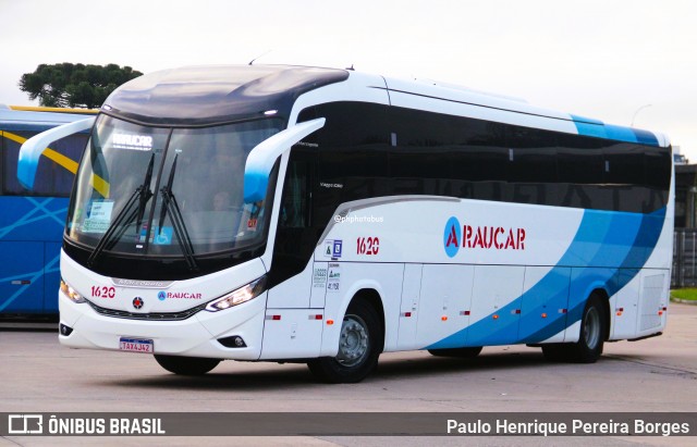 Araucar Locação de Veículos 1620 na cidade de Curitiba, Paraná, Brasil, por Paulo Henrique Pereira Borges. Número da foto: #12917421.