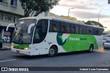 Pássaro Verde 29020 na cidade de Belo Horizonte, Minas Gerais, Brasil, por Gabriel Costa Guimarães. Número da foto: #12917423.