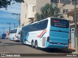 Flores Turismo 3940 na cidade de Martinho Campos, Minas Gerais, Brasil, por Marco Silva. Número da foto: #12916221.