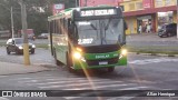 Transportes Capellini 3255 na cidade de Paulínia, São Paulo, Brasil, por Allan Henrique. Número da foto: #:id.