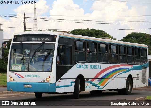 Chaco Boreal 8230 na cidade de Foz do Iguaçu, Paraná, Brasil, por Busologia Gabrielística. Número da foto: #12920018.