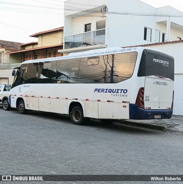 Periquito Turismo 2040 na cidade de Governador Valadares, Minas Gerais, Brasil, por Wilton Roberto. Número da foto: #12920125.