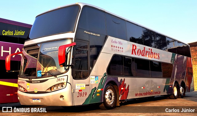 Rodribus 2019 na cidade de Goiânia, Goiás, Brasil, por Carlos Júnior. Número da foto: #12919745.