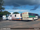 JG Transportes 320 na cidade de Martinho Campos, Minas Gerais, Brasil, por Marco Silva. Número da foto: #12919738.