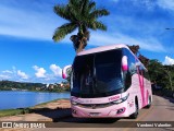 STT - Santa Tereza Transportes e Turismo 19000 na cidade de Lambari, Minas Gerais, Brasil, por Vanderci Valentim. Número da foto: #12918399.