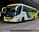 Empresa Gontijo de Transportes 7065 na cidade de Pedro Leopoldo, Minas Gerais, Brasil, por Bruno Guimarães. Número da foto: #12919945.