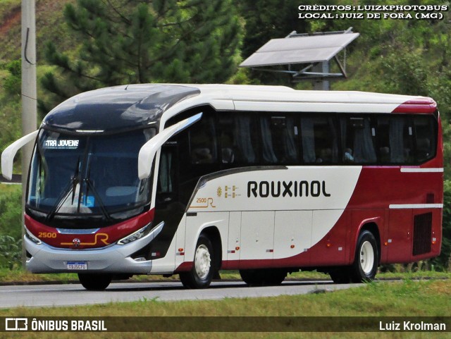 Rouxinol 2500 na cidade de Juiz de Fora, Minas Gerais, Brasil, por Luiz Krolman. Número da foto: #12856491.