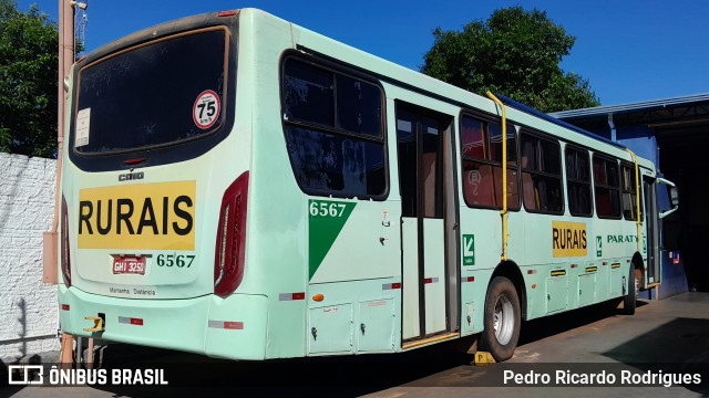 Viação Paraty 6567 na cidade de Araraquara, São Paulo, Brasil, por Pedro Ricardo Rodrigues. Número da foto: #12856470.