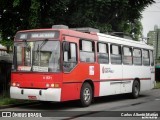 Himalaia Transportes > Ambiental Transportes Urbanos 41571 na cidade de São Paulo, São Paulo, Brasil, por Carlos Alberto Matias. Número da foto: #12854253.
