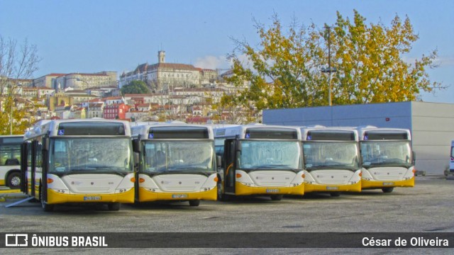 SMTUC - Serviços Municipalizados de Transportes Urbanos de Coimbra 233 na cidade de Coimbra, Coimbra, Portugal, por César de Oliveira. Número da foto: #12921966.