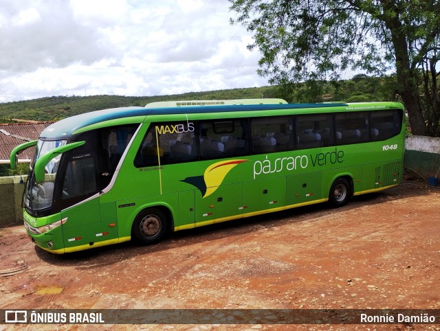 Pássaro Verde 1048 na cidade de Minas Novas, Minas Gerais, Brasil, por Ronnie Damião. Número da foto: #12920787.