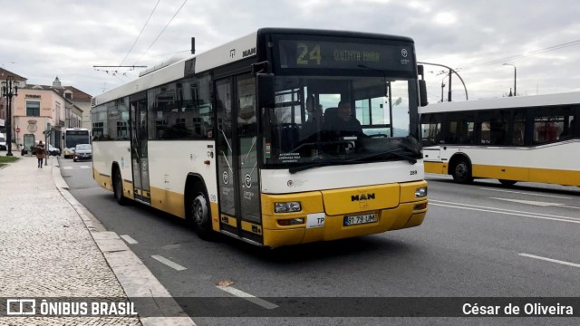 SMTUC - Serviços Municipalizados de Transportes Urbanos de Coimbra 289 na cidade de Coimbra, Coimbra, Portugal, por César de Oliveira. Número da foto: #12922035.