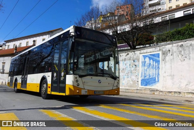 SMTUC - Serviços Municipalizados de Transportes Urbanos de Coimbra 317 na cidade de Coimbra, Coimbra, Portugal, por César de Oliveira. Número da foto: #12921903.