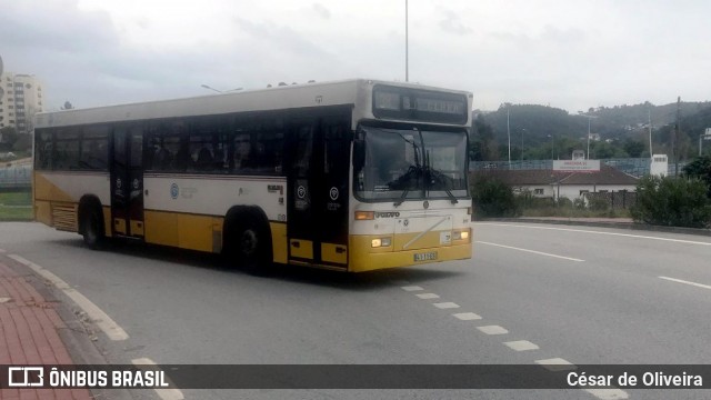 SMTUC - Serviços Municipalizados de Transportes Urbanos de Coimbra 203 na cidade de Coimbra, Coimbra, Portugal, por César de Oliveira. Número da foto: #12921924.