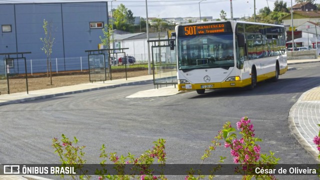 SMTUC - Serviços Municipalizados de Transportes Urbanos de Coimbra 267 na cidade de Coimbra, Coimbra, Portugal, por César de Oliveira. Número da foto: #12921955.