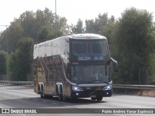 TPL - Talca París y Londres 9070 na cidade de Chimbarongo, Colchagua, Libertador General Bernardo O'Higgins, Chile, por Pablo Andres Yavar Espinoza. Número da foto: #12921519.