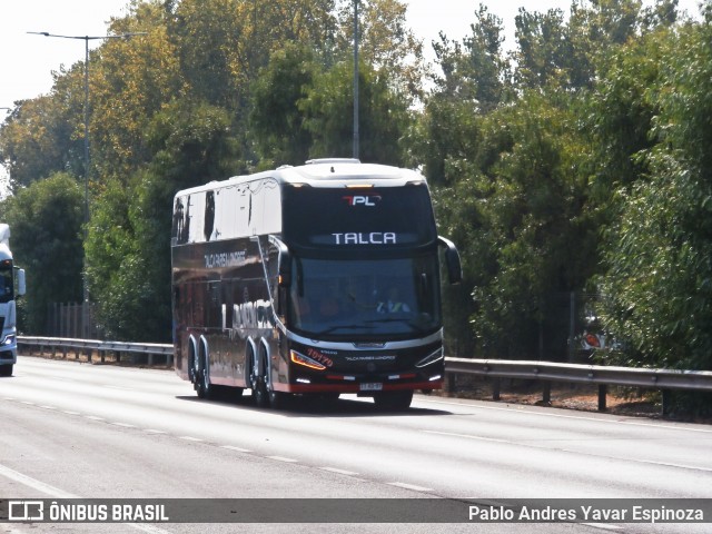 TPL - Talca París y Londres 10170 na cidade de Chimbarongo, Colchagua, Libertador General Bernardo O'Higgins, Chile, por Pablo Andres Yavar Espinoza. Número da foto: #12921584.