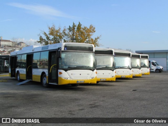 SMTUC - Serviços Municipalizados de Transportes Urbanos de Coimbra 233 na cidade de Coimbra, Coimbra, Portugal, por César de Oliveira. Número da foto: #12921970.