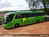 Pássaro Verde 1048 na cidade de Minas Novas, Minas Gerais, Brasil, por Ronnie Damião. Número da foto: #12920787.