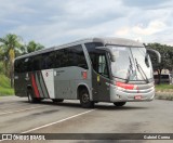 Transportes Capellini 15008 na cidade de Americana, São Paulo, Brasil, por Gabriel Correa. Número da foto: #12921186.