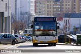 SMTUC - Serviços Municipalizados de Transportes Urbanos de Coimbra 317 na cidade de Coimbra, Coimbra, Portugal, por César de Oliveira. Número da foto: #12921904.