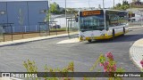 SMTUC - Serviços Municipalizados de Transportes Urbanos de Coimbra 267 na cidade de Coimbra, Coimbra, Portugal, por César de Oliveira. Número da foto: #12921955.