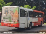 Autotrans > Turilessa 25960 na cidade de Lagoa Santa, Minas Gerais, Brasil, por Pedro Castro. Número da foto: #12921395.
