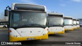 SMTUC - Serviços Municipalizados de Transportes Urbanos de Coimbra 233 na cidade de Coimbra, Coimbra, Portugal, por César de Oliveira. Número da foto: #12921963.
