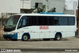 Brubuss Transportes 13200 na cidade de Cubatão, São Paulo, Brasil, por Moiséis Inácio. Número da foto: #12920518.