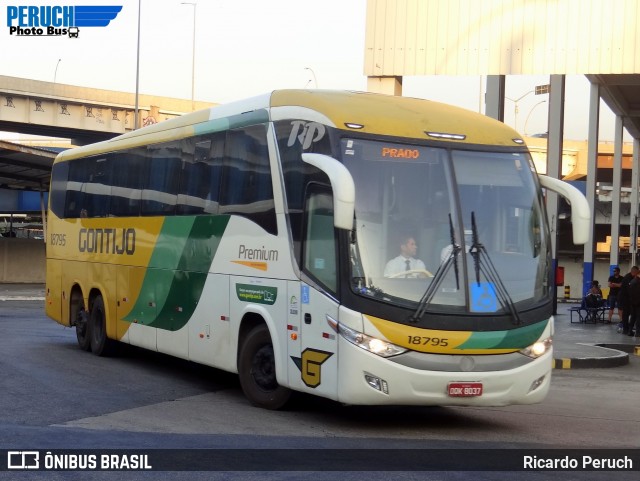 Empresa Gontijo de Transportes 18795 na cidade de Rio de Janeiro, Rio de Janeiro, Brasil, por Ricardo Peruch. Número da foto: #12925043.
