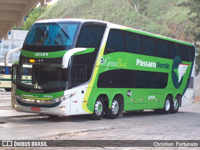Pássaro Verde 12121 na cidade de Ubá, Minas Gerais, Brasil, por Christian  Fortunato. Número da foto: #12924867.