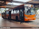 Auto Viação São José dos Pinhais 20402 na cidade de Curitiba, Paraná, Brasil, por Rodrigo Barraza. Número da foto: #12923900.