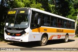 TAP Turismo e Fretamento 119 na cidade de Piraí, Rio de Janeiro, Brasil, por Paulo Henrique Pereira Borges. Número da foto: #12924979.