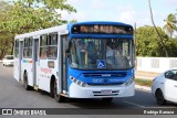 Consórcio Navegantes - 02 > Viação São Jorge > Transurb Transporte Urbano 02017 na cidade de João Pessoa, Paraíba, Brasil, por Rodrigo Barraza. Número da foto: #12923884.