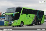 Gil Turismo 2017 na cidade de São Paulo, São Paulo, Brasil, por Carlos Kircheim. Número da foto: #12924173.