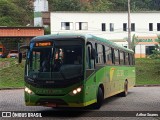 Pássaro Verde 15141 na cidade de Itabirito, Minas Gerais, Brasil, por Arthur Soares. Número da foto: #12923682.