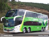 Pássaro Verde 12123 na cidade de Viçosa, Minas Gerais, Brasil, por Christian  Fortunato. Número da foto: #12924858.