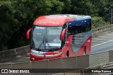 Empresa de Ônibus Pássaro Marron 5950 na cidade de Aparecida, São Paulo, Brasil, por Rodrigo Barraza. Número da foto: #12923909.