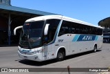 Expresso Azul 105 na cidade de Porto Alegre, Rio Grande do Sul, Brasil, por Rodrigo Barraza. Número da foto: #12923882.