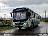 Bonanza Transportes 223357 na cidade de Dom Viçoso, Minas Gerais, Brasil, por Vanderci Valentim. Número da foto: #:id.