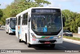 Reunidas Transportes >  Transnacional Metropolitano 56061 na cidade de João Pessoa, Paraíba, Brasil, por Rodrigo Barraza. Número da foto: #12923906.