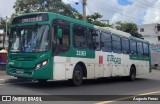 OT Trans - Ótima Salvador Transportes 21163 na cidade de Salvador, Bahia, Brasil, por Augusto Ferraz. Número da foto: #12858660.
