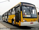 VIP - Unidade Itaim Paulista 3 1622 na cidade de São Paulo, São Paulo, Brasil, por Hipólito Rodrigues. Número da foto: #12859036.