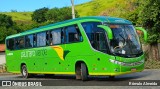 Pássaro Verde 11095 na cidade de Cataguases, Minas Gerais, Brasil, por Rômulo Almeida. Número da foto: #12861782.
