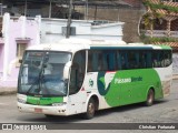 Pássaro Verde 29017 na cidade de Coimbra, Minas Gerais, Brasil, por Christian  Fortunato. Número da foto: #:id.