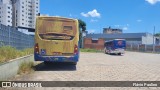 Trancid - Transporte Cidade de Divinópolis 219 na cidade de Divinópolis, Minas Gerais, Brasil, por Flávio Paulino. Número da foto: #12860926.