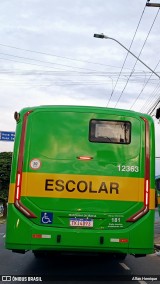 Transportes Capellini 12363 na cidade de Paulínia, São Paulo, Brasil, por Allan Henrique. Número da foto: #12862198.