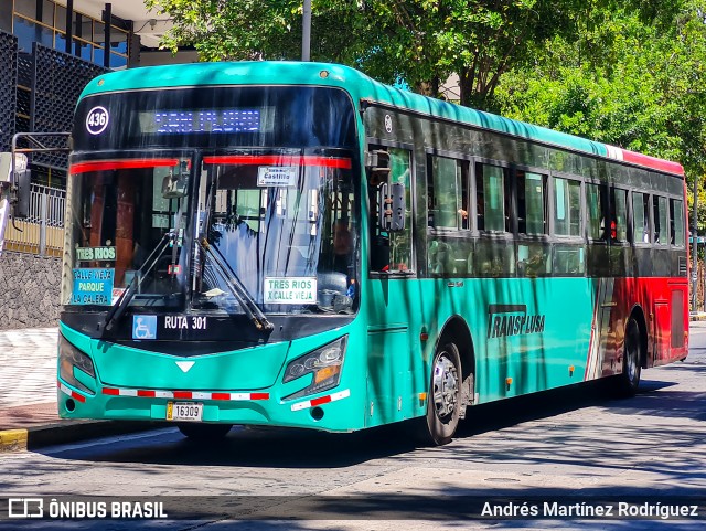 Transplusa 436 na cidade de San José, San José, Costa Rica, por Andrés Martínez Rodríguez. Número da foto: #12865081.