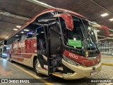 Santa Maria Fretamento e Turismo > Transportes Santa Maria(SP) 800 na cidade de Belo Horizonte, Minas Gerais, Brasil, por MAXI MORAIS. Número da foto: #12865174.